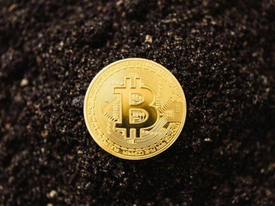 Miner infrastructure and cooling systems